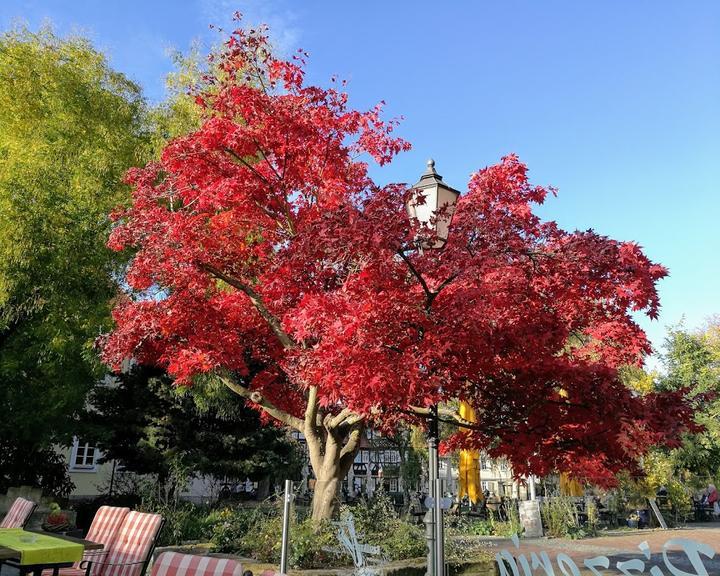 Weinstube am Kurpark